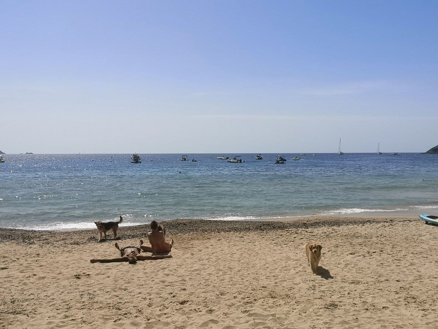 Plage d’Arone à Piana, longue étendue de sable fin face au Capo Rosso et aux eaux turquoise du golfe de Porto, Corse-du-Sud